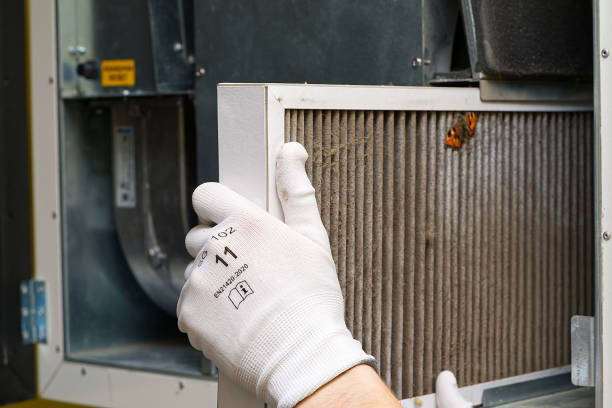 Best Local Air Duct Cleaning Services  in Elton, LA