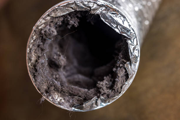 Best Air Duct Cleaning Near Me  in Elton, LA