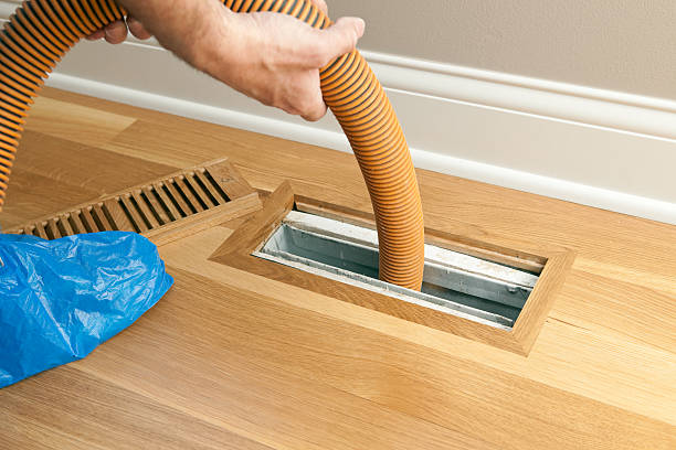 Best Air Duct Cleaning Company Near Me  in Elton, LA